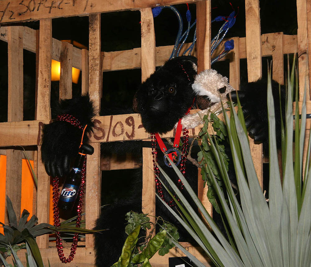 IMG_9726 copy