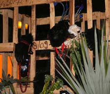 IMG_9726 copy