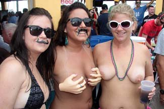Fest (120)