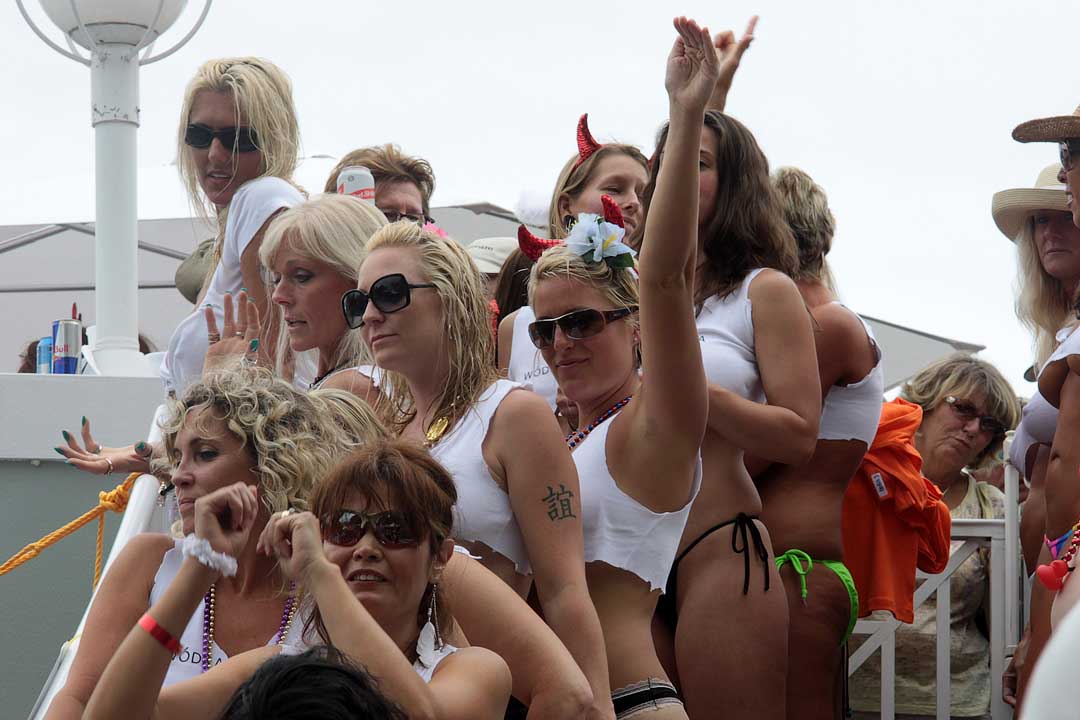 Fest (309)