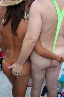 Fest (225)