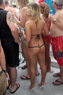 Fest (229)