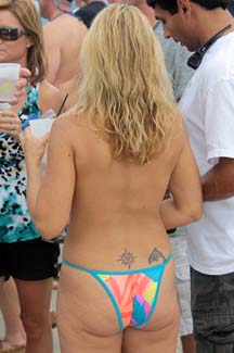 Fest (231)