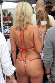 Fest (239)