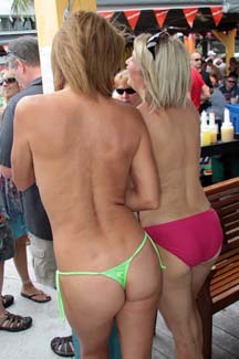 Fest (260)