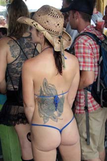 Fest (268)
