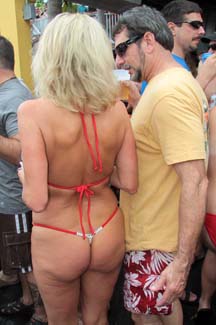 Fest (282)