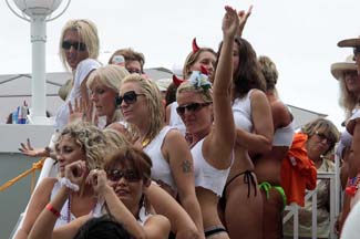 Fest (309)