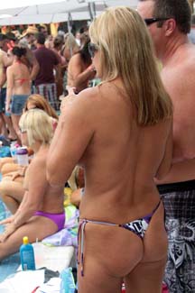 Fest (311)