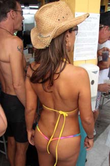 Fest (334)