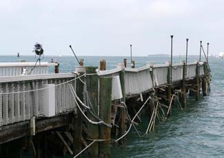 IMG_3650 copy