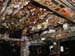 FFestTuesday_07 (13)a